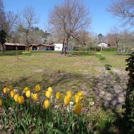 Les Tuileries Сasa de vacaciones Luglon