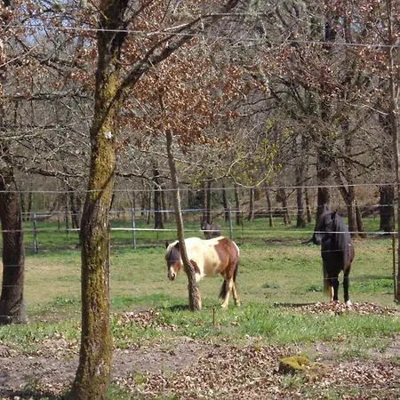 Les Tuileries Сasa de vacaciones *