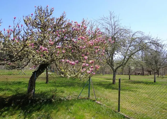 Casa vacanze Les Tuileries *