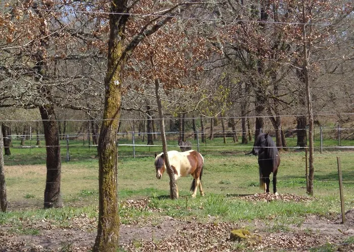 Les Tuileries Casa vacanze *